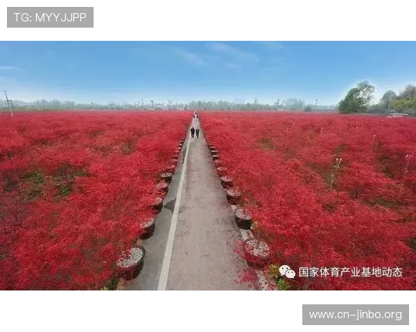 乐道体育助力体育产业创新发展 打造全新体育生态平台