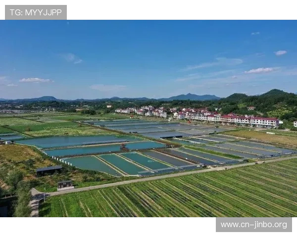 新葡京集团引领创新发展推动娱乐与旅游产业融合新格局