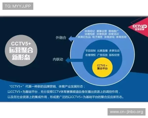D体育全面解析打造智能体育娱乐新生态与赛事互动体验升级指南